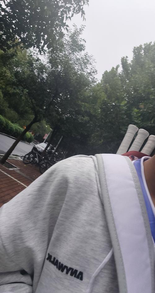 维尼修斯的